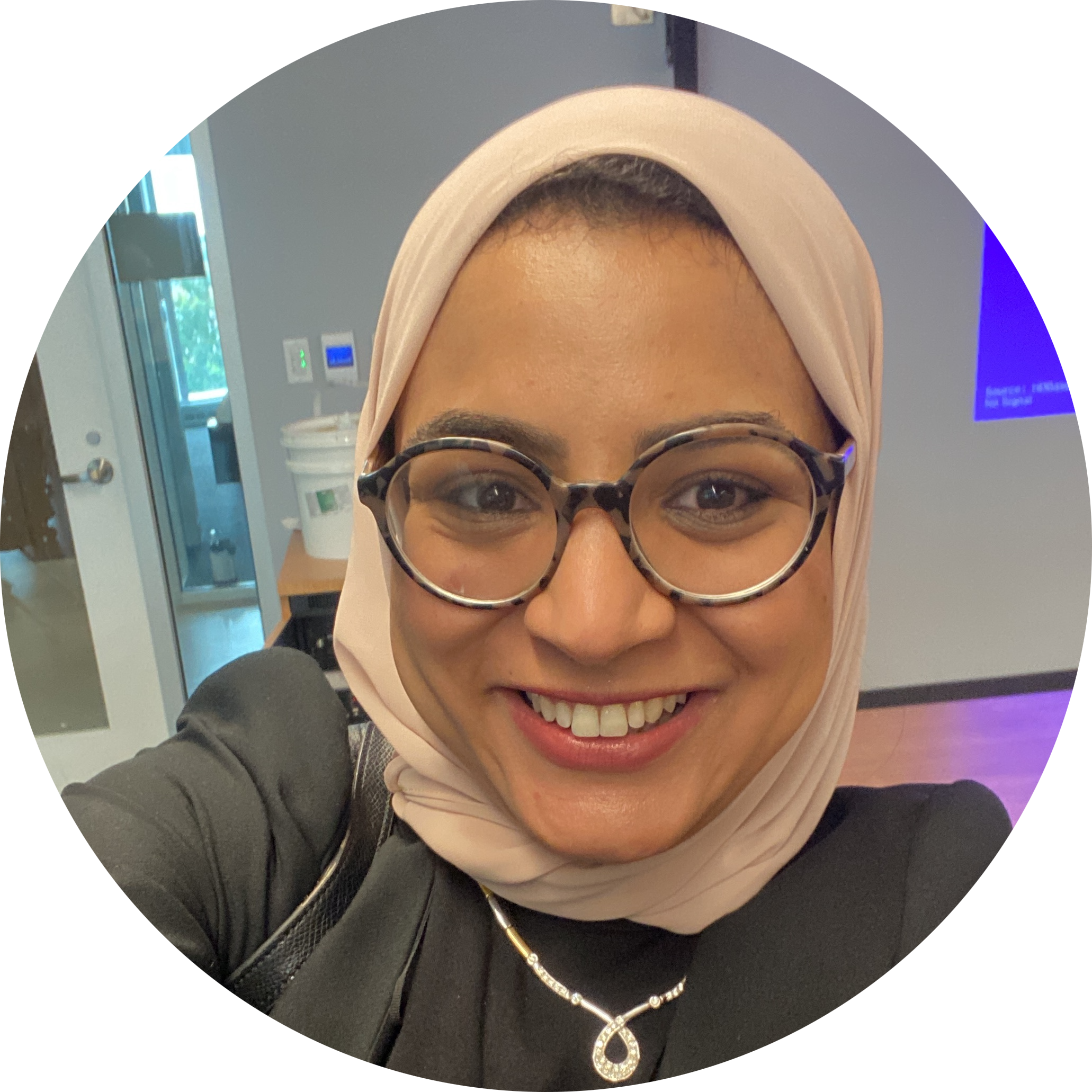 Aya Abdelsalam Ismail